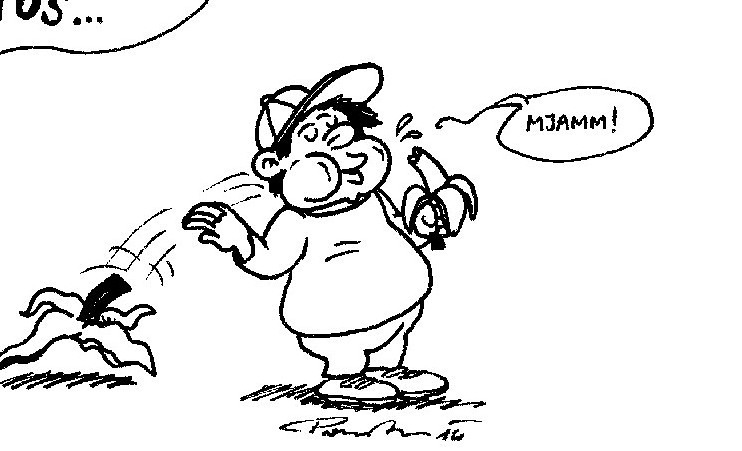 Karikatur